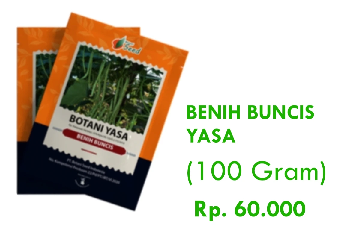 Benih Buncis Yasa 100gr