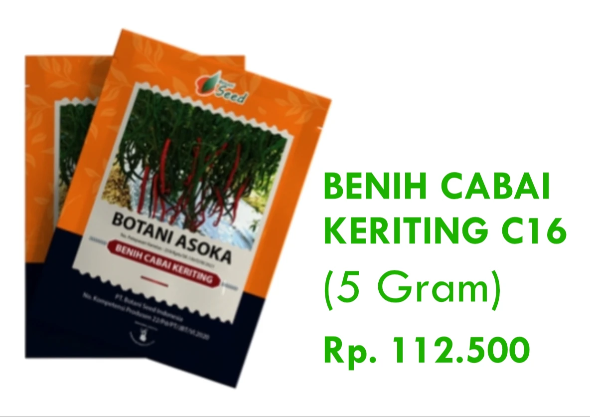 Benih Cabai Keriting C16 5gr